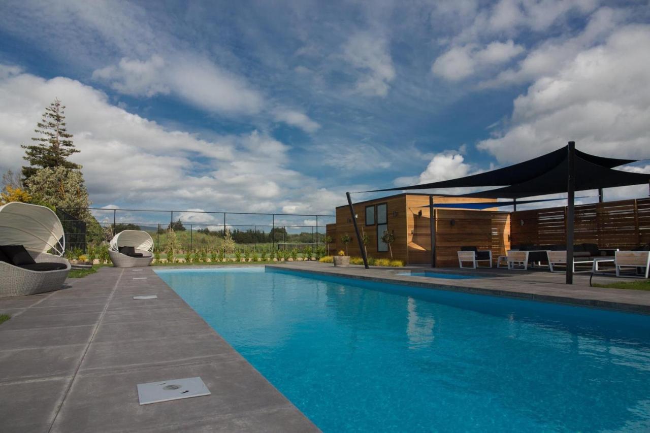 Black Barn Modern: Luxe Martinborough Escape Zewnętrze zdjęcie